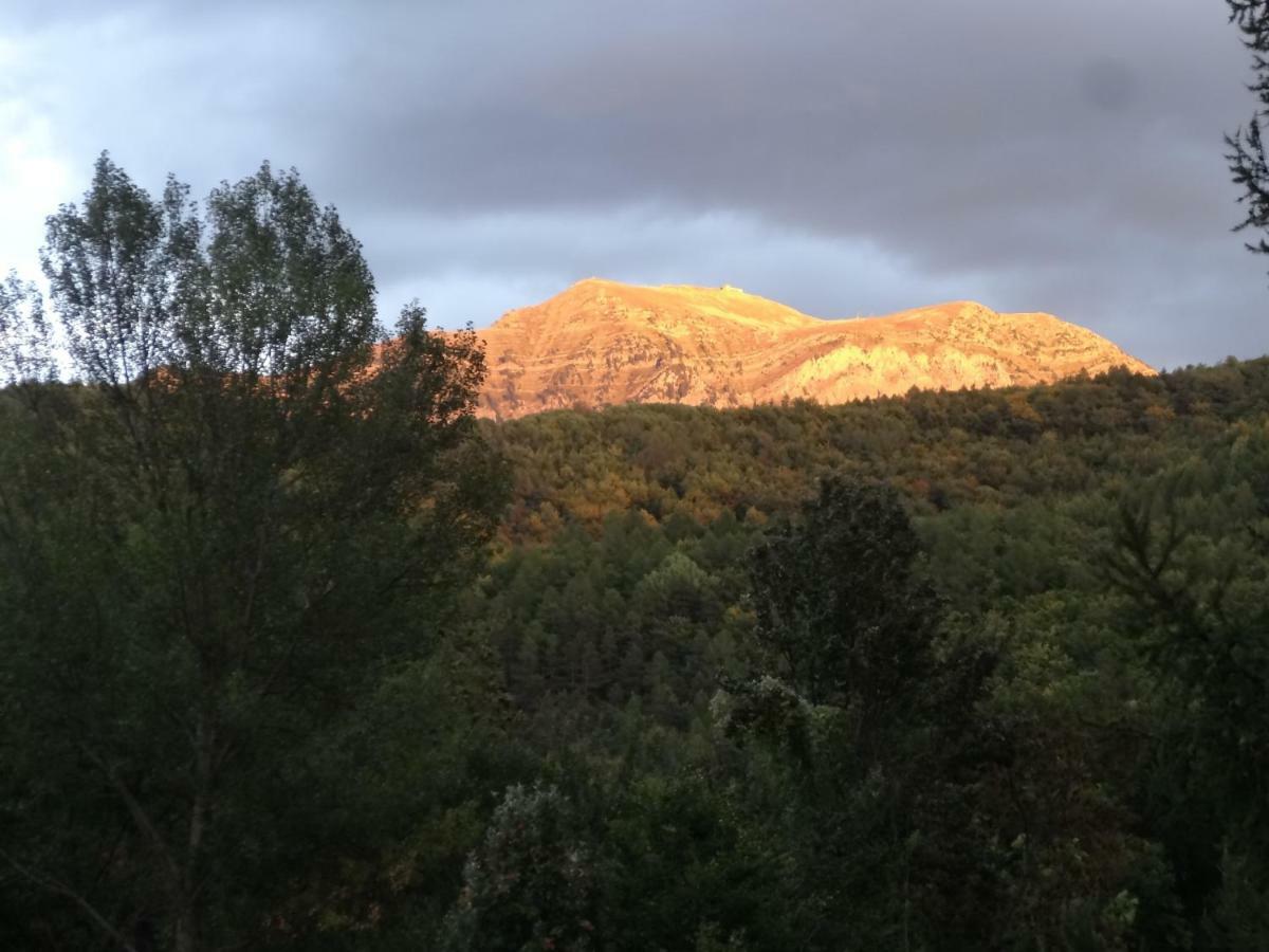 Maison D'Hotes L'Arnica La Breole Bagian luar foto